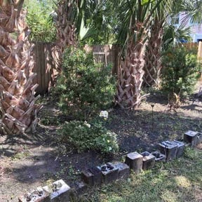 Bush Trimming by Belles Lawn Co reviewed on April 30, 2026