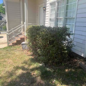 Bush Trimming by JW Mowing reviewed on May 20, 2026