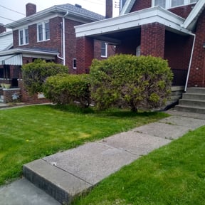 Bush Trimming by A1 landscaping reviewed on August 21, 2025