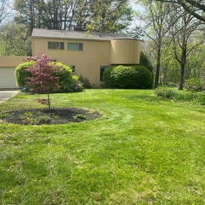 turf maintenance by Quality Lawn Care reviewed on March 25, 2024