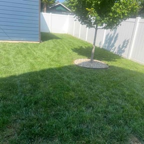 gardening service by POP LAWNS, LLC reviewed on August 21, 2025
