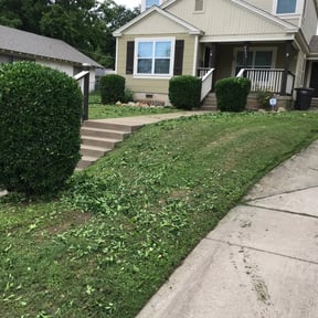 Bush Trimming by Quays lawn service reviewed on August 20, 2025