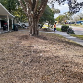 Leaf Removal by Kings Lawn Care reviewed on September 30, 2025