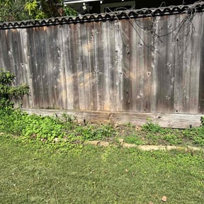 Bush Trimming by JR and Sons Lawn Service reviewed on August 21, 2025