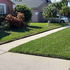 landscaping by Facility Landscape & Maintenance reviewed on August 16, 2025