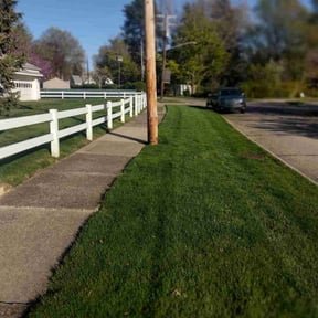 yard work by Tefel rivera reviewed on August 21, 2025