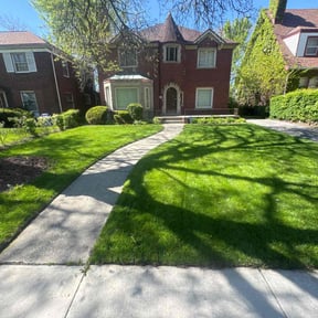 yard care by D. T. Lawn Service reviewed on August 16, 2025