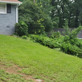 Bush Trimming by Hendrix Lawn Care reviewed on August 15, 2025