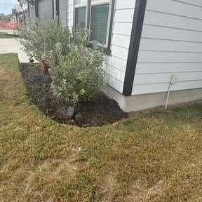 Flower Bed Weeding by BNK Home Improvements &amp; Landscaping LLC reviewed on October 24, 2025