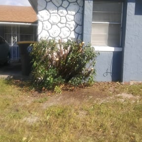 Bush Trimming by On Time Handyman Full Service reviewed on August 15, 2025