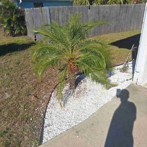 Bush Trimming by Edge True Cut reviewed on December 16, 2025