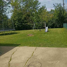 Bush Trimming by Reil Lawn Company LLC reviewed on May 11, 2026
