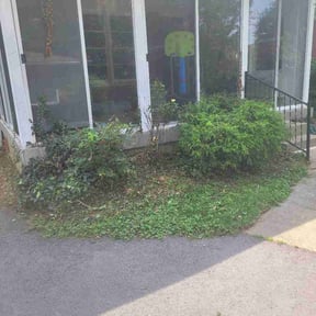 Bush Trimming by CCS Property Maintenance reviewed on August 17, 2026