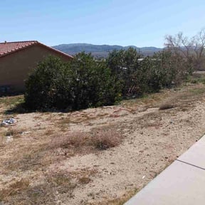 Bush Trimming by Deke's reviewed on February 11, 2026