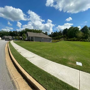 yard care by M D CUSTOM SERVICE SOLUTIONS reviewed on August 18, 2025