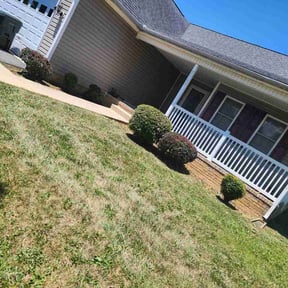 Bush Trimming by Robert Contreras lawn service llc reviewed on June 13, 2026