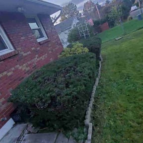 Bush Trimming by Lieutenant Lawn Maintenance reviewed on August 21, 2025