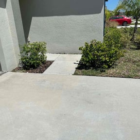 Bush Trimming by Yanez Brothers Landscaping reviewed on August 20, 2025