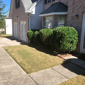 Bush Trimming by Remarkable Lawns LLC reviewed on August 20, 2025