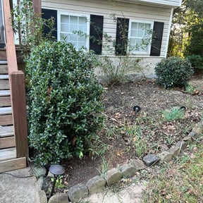 Bush Trimming by Grass Godz reviewed on December 27, 2025