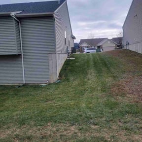 Leaf Removal by Diverse Capital Fence and Lawn Services reviewed on January 8, 2026