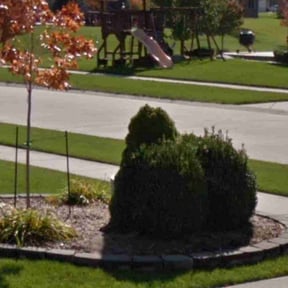 Bush Trimming by My small dic reviewed on August 20, 2025