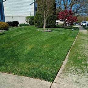lawn care by Lawn Lover Services reviewed on February 13, 2024