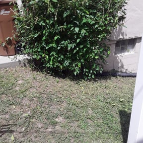 Bush Trimming by Grateful Green Lawn Care reviewed on August 19, 2025