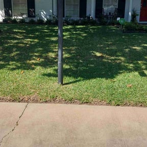 gardening service by C&C landscaping reviewed on August 13, 2025