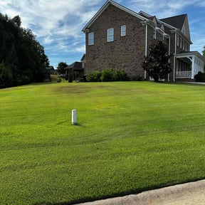 yard care by C & I reviewed on August 21, 2025