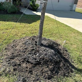 Flower Bed Weeding by Amazon Lawn and Landscape reviewed on November 10, 2025