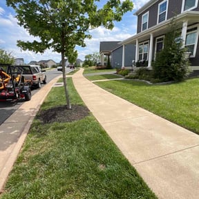 gardening service by Nelly Arredondo reviewed on November 27, 2025