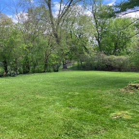 landscaping by Qui property management reviewed on August 20, 2025