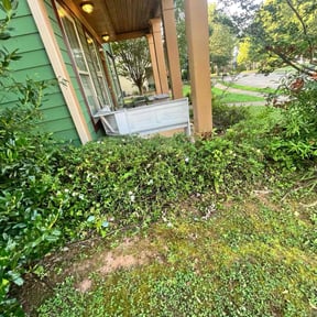 Bush Trimming by Michael's Superior Lawn Service reviewed on August 19, 2025