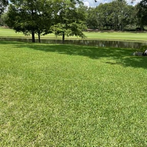 landscaping services by Contreras Outdoors reviewed on August 15, 2025