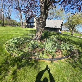 Flower Bed Weeding by C &amp; A Elite Landscaping reviewed on May 3, 2026