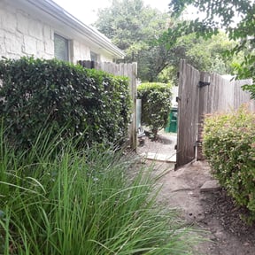 Bush Trimming by DmW Lawn care reviewed on August 19, 2025