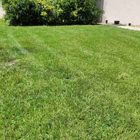 landscaping by TruQuality Outdoor Maintenance & Lanscaping reviewed on August 18, 2025
