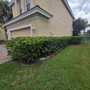 Bush Trimming by Done Right Lawn Service reviewed on November 10, 2025