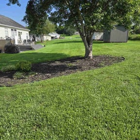 yard work by Landscapes by Dan reviewed on August 15, 2025