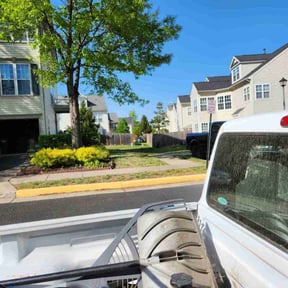 Bush Trimming by Eazy LLC reviewed on August 20, 2025