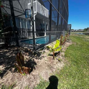 Bush Trimming by Tikitiki Garden Service reviewed on March 21, 2026