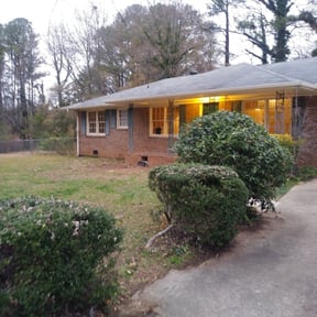 Bush Trimming by Your Next Cut Lawn Services reviewed on August 18, 2025