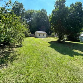 grass maintenance by Patriot Lawn Service reviewed on August 16, 2025