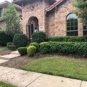 Bush Trimming by EP Remodeling LLC reviewed on August 21, 2025