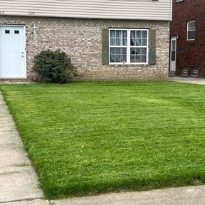 grass cutting by Emanuel’s Lawncare reviewed on August 16, 2025