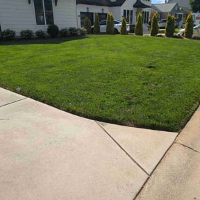 yard care by American lawn care reviewed on August 16, 2025