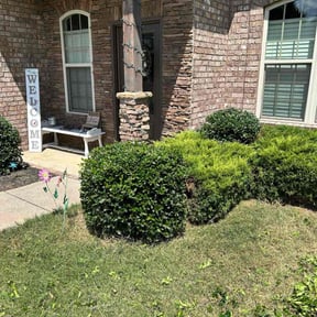 Bush Trimming by Green Craft Gardening reviewed on May 16, 2023