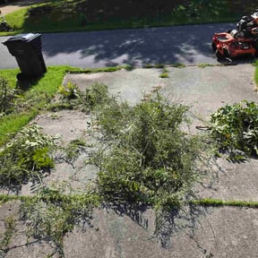 Bush Trimming by EcoGreen Turf reviewed on August 22, 2026