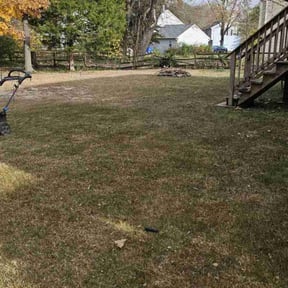 Leaf Removal by Rene Home Services  reviewed on September 17, 2025